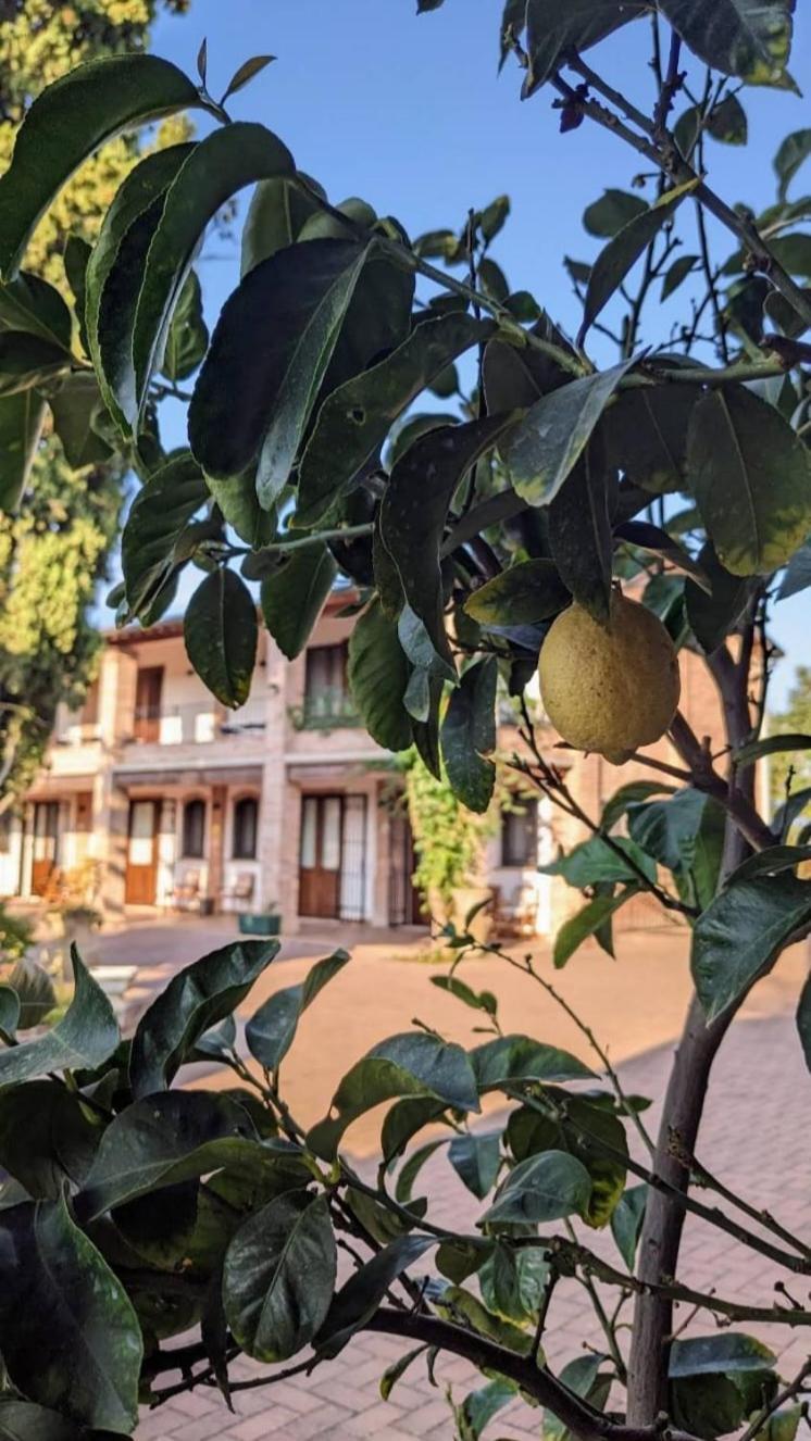 Il Ghiandolino Villa Imola Bagian luar foto